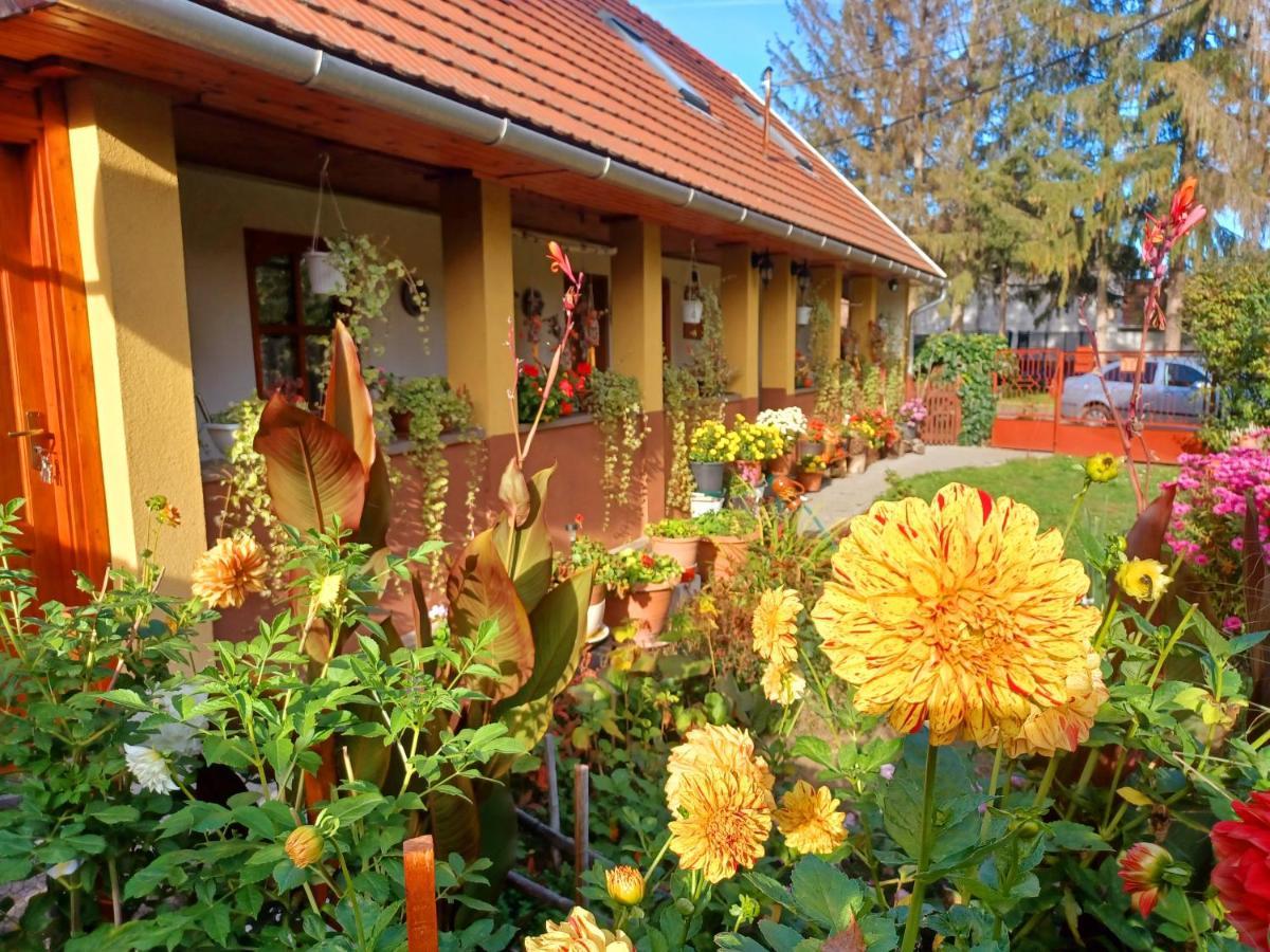 Appartamento Tulipán Ház Bodony Esterno foto
